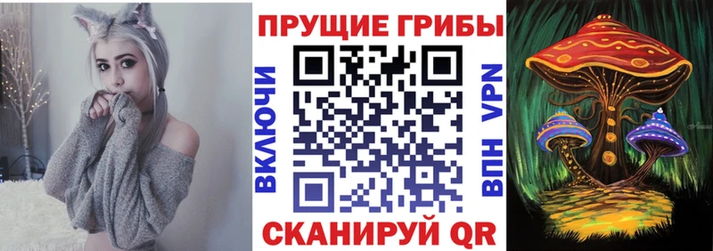 Галлюциногенные грибы Psilocybe  Чита 